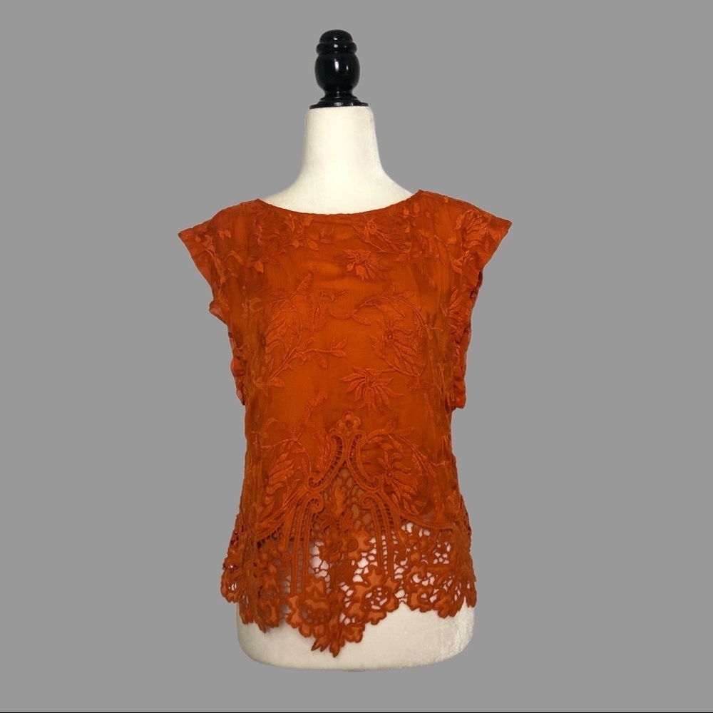 ❤️ XSP ❤️ NWT Anthro Lace Blouse Petite Orange Floral Feminine